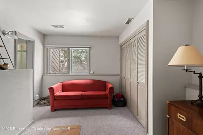 645 Sneaky Lane, Aspen, CO 81611 - Photo 20