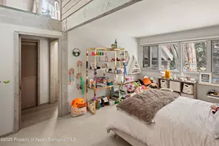 645 Sneaky Ln, Aspen, CO 81611 - Photo 28