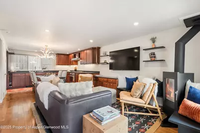 720 W Hopkins Avenue #Unit D, Aspen, CO 81611 - Photo 2