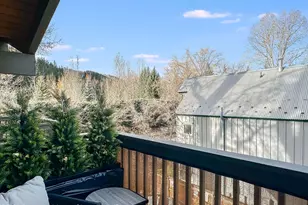 720 W Hopkins Ave, Aspen, CO 81611 - Photo 6