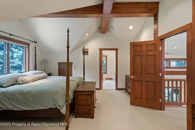 9676 Castle Creek Road, Aspen, CO 81611 - Photo 16