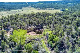 10444 Co Rd 320, Rifle, CO 81650 - Photo 30