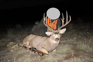 10444 Co Rd 320, Rifle, CO 81650 - Photo 46