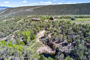 10444 Co Rd 320, Rifle, CO 81650 - Photo 8