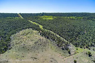 10444 County Road 320, Rifle, CO 81650 - Photo 32