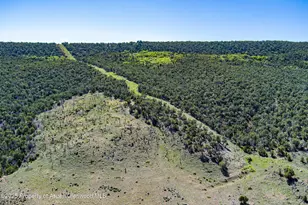 10444 Co Rd 320, Rifle, CO 81650 - Photo 34