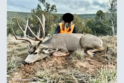 10444 County Road 320, Rifle, CO 81650 - Photo 10