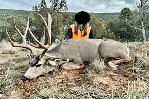 10444 Co Rd 320, Rifle, CO 81650 - Photo 10
