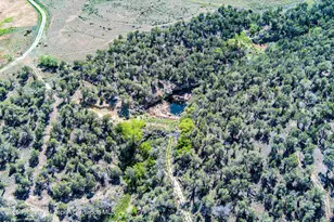 10444 Co Rd 320, Rifle, CO 81650 - Photo 46