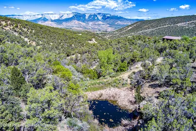 10444 County Road 320, Rifle, CO 81650 - Photo 30