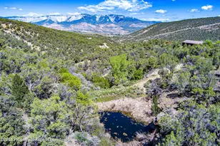 10444 Co Rd 320, Rifle, CO 81650 - Photo 30