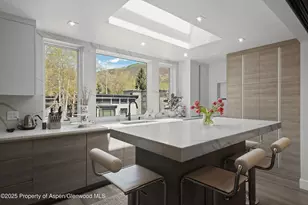 120 S Spring St, Aspen, CO 81611 - Photo 10