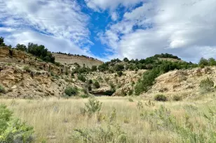 65701 Hwy 64, Meeker, CO 81641 - Photo 34