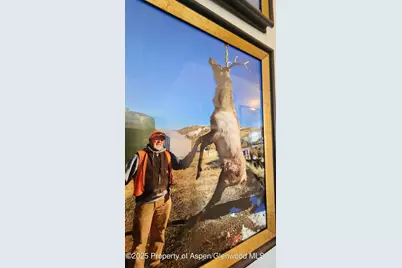 Tbd Deer Park Service Road, Maybell, CO 81640 - Photo 60