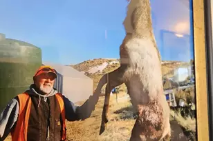 Tbd Deer Park Service Rd, Maybell, CO 81640 - Photo 60