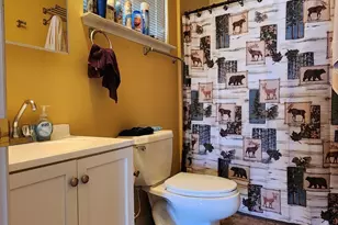 Tbd Deer Park Service Rd, Maybell, CO 81640 - Photo 20