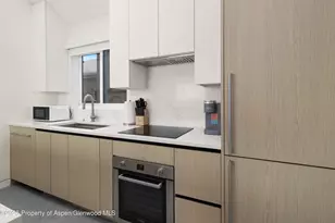 211 W Main St, Aspen, CO 81611 - Photo 60