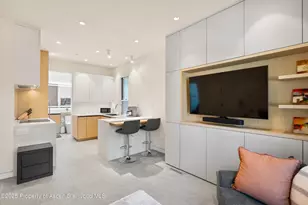 211 W Main St, Aspen, CO 81611 - Photo 50