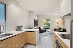 211 W Main St, Aspen, CO 81611 - Photo 48