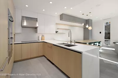 211 W Main Street, Aspen, CO 81611 - Photo 18