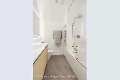 211 W Main Street, Aspen, CO 81611 - Photo 42