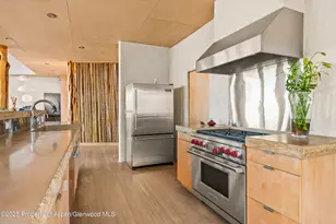 515 Park Cir, Aspen, CO 81611 - Photo 8