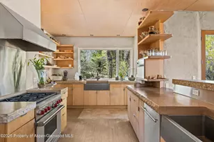 515 Park Cir, Aspen, CO 81611 - Photo 8