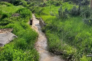 6526 Co Rd 331, Silt, CO 81652 - Photo 4