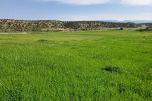 6526 Co Rd 331, Silt, CO 81652 - Photo 2