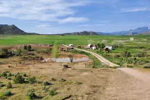 6526 Co Rd 331, Silt, CO 81652 - Photo 8