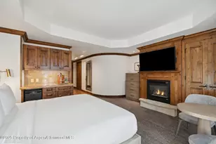 415 E Dean St Unit 44A Week 9, Aspen, CO 81611 - Photo 4