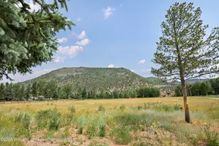 176 Letey Ln, Woody Creek, CO 81656 - Photo 26