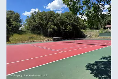 220 Sam Grange Court, Carbondale, CO 81623 - Photo 24
