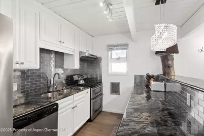 630 E Cooper Avenue #4, Aspen, CO 81611 - Photo 4
