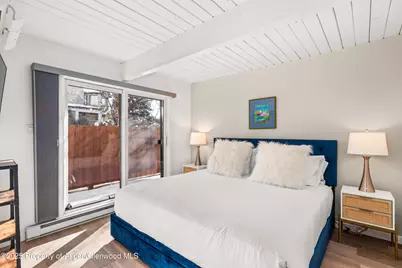 630 E Cooper Avenue #4, Aspen, CO 81611 - Photo 6