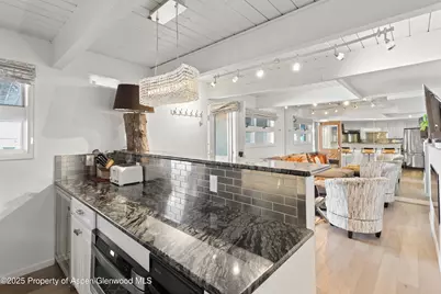 630 E Cooper Avenue #4, Aspen, CO 81611 - Photo 4