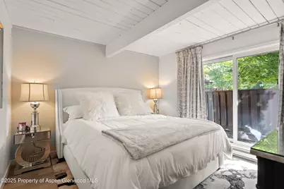 630 E Cooper Avenue #4, Aspen, CO 81611 - Photo 8