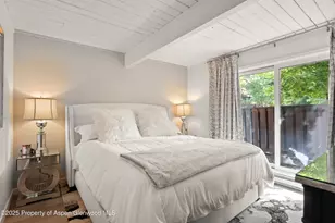 630 E Cooper Ave, Aspen, CO 81611 - Photo 8