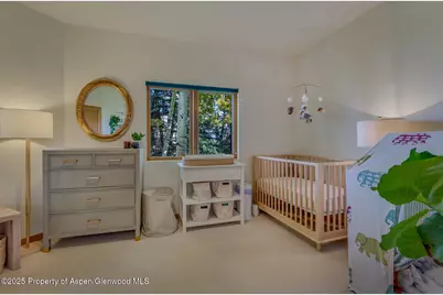116 Katydid Lane, Snowmass, CO 81654 - Photo 26