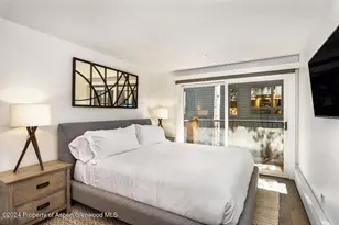 205 E Durant Ave, Aspen, CO 81611 - Photo 8