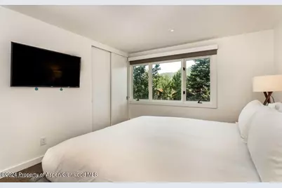 205 E Durant Avenue #2J, Aspen, CO 81611 - Photo 10