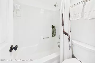 311 S Aspen Street #3, Aspen, CO 81611 - Photo 16