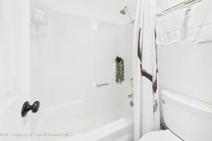 311 S Aspen St, Aspen, CO 81611 - Photo 16