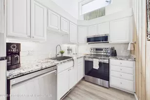 311 S Aspen St, Aspen, CO 81611 - Photo 8