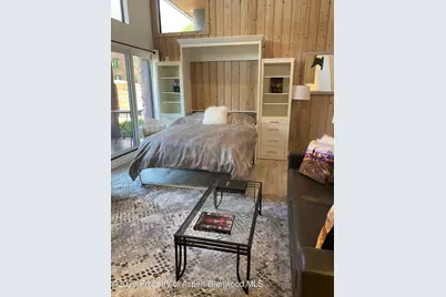 311 S Aspen Street #3, Aspen, CO 81611 - Photo 22