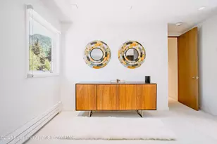 210 E Cooper Ave, Aspen, CO 81611 - Photo 10