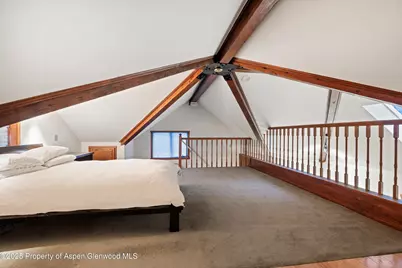 716 & 718 W Hallam Street, Aspen, CO 81611 - Photo 50