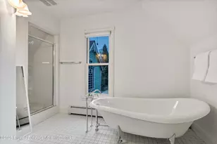 716 & 718 W Hallam St, Aspen, CO 81611 - Photo 36