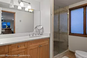 716 & 718 W Hallam St, Aspen, CO 81611 - Photo 46