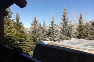 197 Prospector Rd, Aspen, CO 81611 - Photo 28